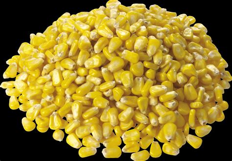 Download Pileof Yellow Corn Kernels