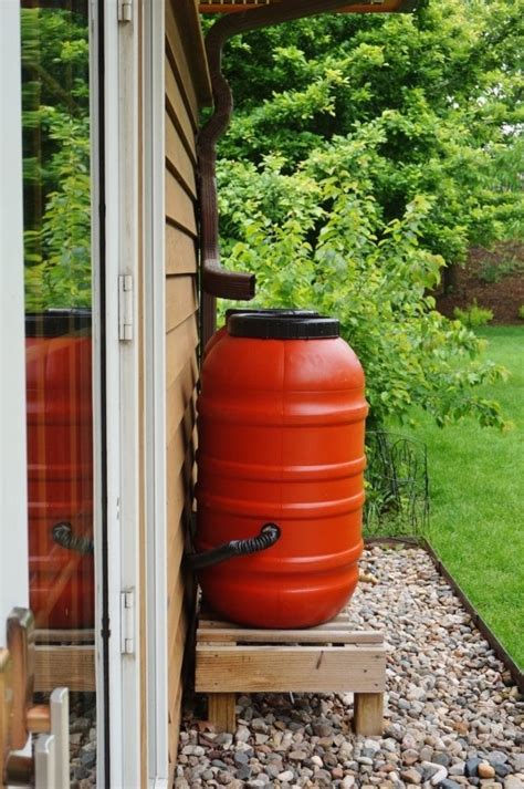 Collecting Rainwater For The Garden A Step By Step Guide Farmers