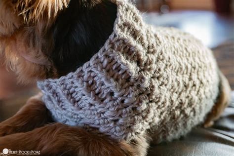 Dandy Dog Sweater: Easy Crochet Dog Sweater Pattern