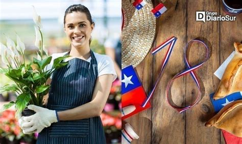 Fiestas Patrias Emprendedores Que No Han Iniciado Actividades Ante El