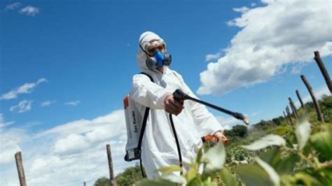 Zero Biocidas Contaminantes Qu Micos Los Investigadores Est N