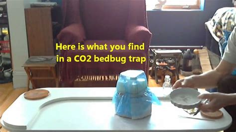 Diy Bed Bug Trap Co2 The Truth About Diy Bed Bug Traps This Trap Works In A Similar Manner