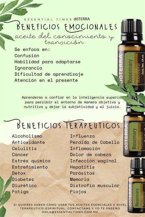 Aceite Esencial Romero dōTERRA Recetas de aceites esenciales Guía de