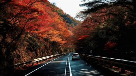 가을색으로 고속도로를 달리는 자동차 운전하다 고화질 사진 사진 운전 배경 일러스트 및 사진 무료 다운로드 Pngtree