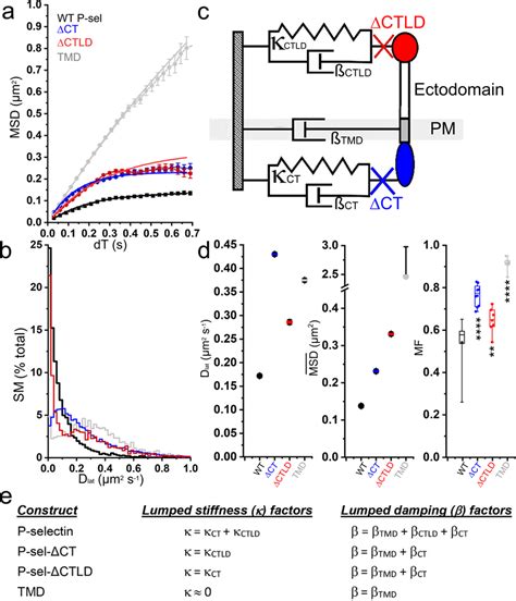 Ct And Ctld Independently Shape P Selectin Mobility At Steady State A