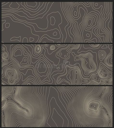 Topografía Vectorial Contornos Grises Geográfico Topografía De Montaña