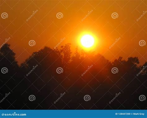 Orange Sky stock photo. Image of trees, orange, sunset - 128447200