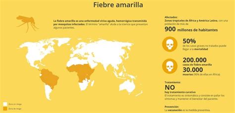 ¿qué Es La Fiebre Amarilla 【】