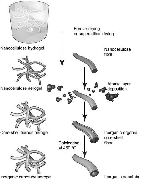 6 Schematic Of The Preparation Of Cellulose Based Inorganic Aerogels Download Scientific