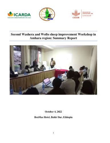 Second Washera and Wollo sheep improvement Workshop in Amhara region ...