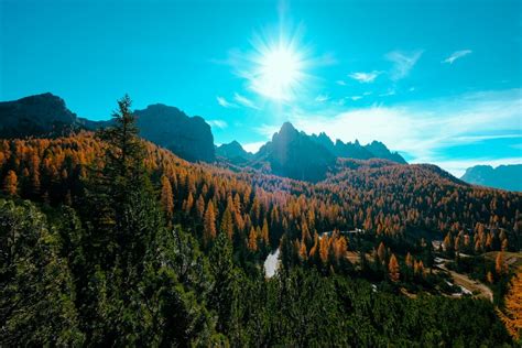 Panoramic View Of Lake In Forest · Free Stock Photo