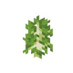 Sapling – Minecraft Wiki