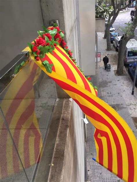 Un Sant Jordi Diferent Fundaci Catalana Per A La Par Lisi Cerebral