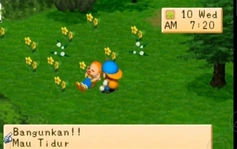 Cara Mudah Memasang Dan Memainkan Harvest Moon Back To Nature Android