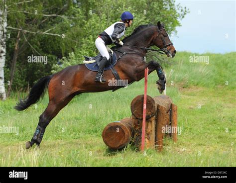 Horse and rider are navigating a jump on a 3-day eventing, cross ...