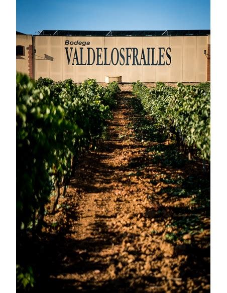 Vino Tinto Valdelosfrailes Reserva D O Cigales Tienda Matarromera