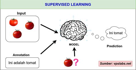 8 Jenis Machine Learning Updated Year VPSLabs R D