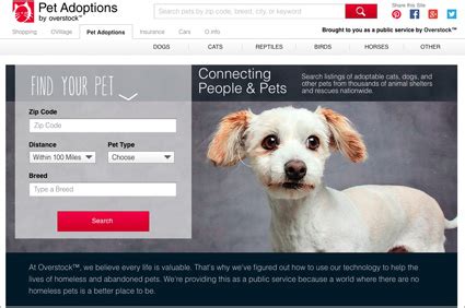 Our Guide to Pet Adoption Websites - Vetstreet | Vetstreet