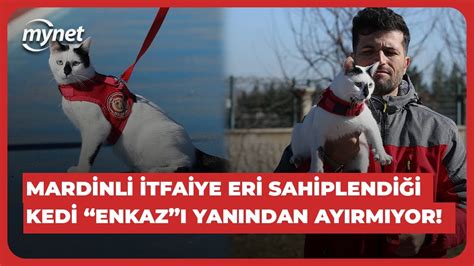 Mardinli itfaiye eri sahiplendiği kedi Enkaz ı yanından ayırmıyor