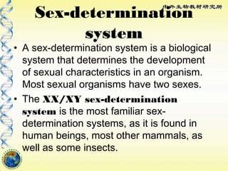 Sex Determination PPT