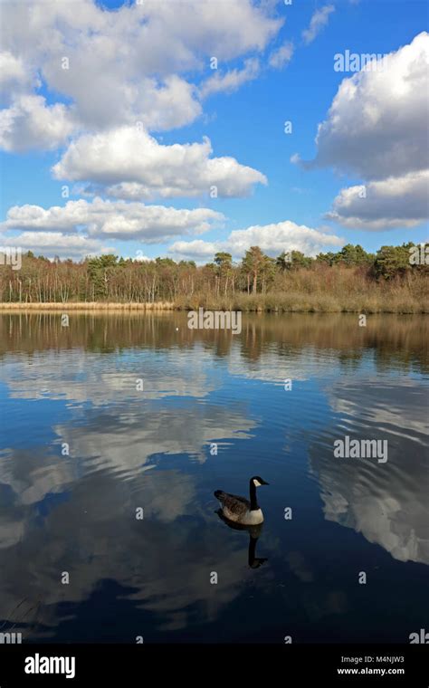 Ash Vale, Surrey, England. 17th February 2018. A fabulous day of blue ...