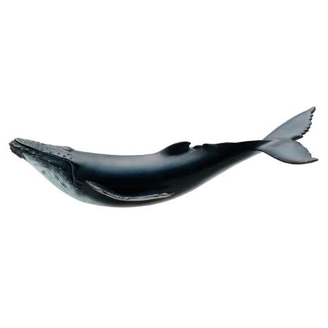 Rubber Toy Whales Wow Blog