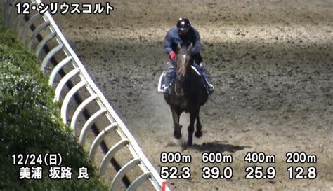 【ホープフルステークス2023予想考察】最終追い切り・調教評価 ゆうちゃりすの競馬ときどき一口馬主ブログ