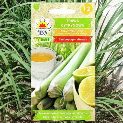 Lemon Grass Cymbopogon Citratus Seeds Nam Zona