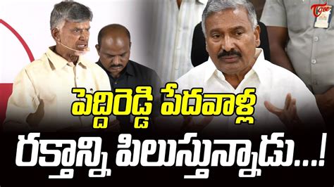 పదవళల రకతనన పలసతననడ Chandrababu Fires on Peddireddy