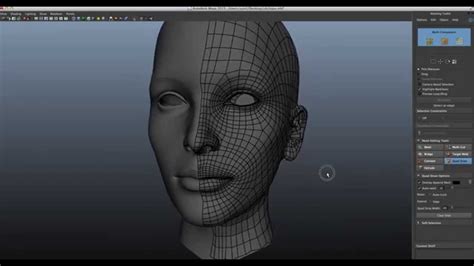 Character Modeling Retopology Using Maya Modeling Toolkit Youtube