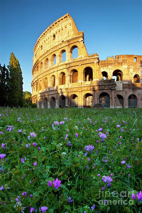 Flowers at the Coliseum - Rome Italy Photograph by Brian Jannsen | Pixels