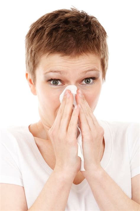 The Relationship Between Asthma And Allergies Achoo Blog