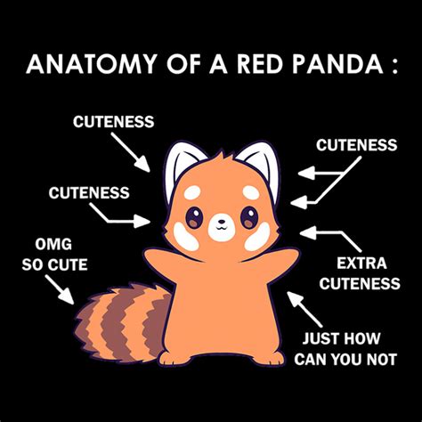 Custom Anatomy Of A Red Panda Science Zoologist Red Panda Anatomy Unisex Jogger By Casaniuy89 ...