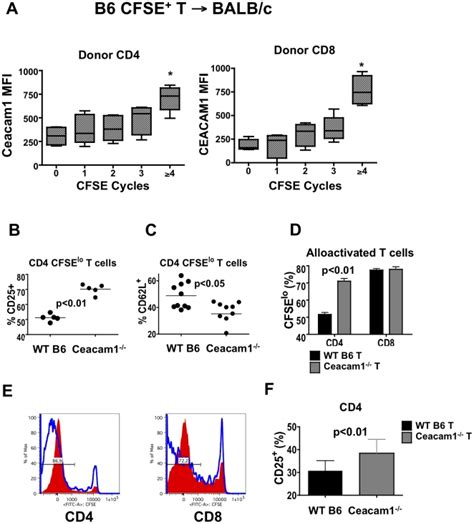 A 107 Cfse Labeled B6 Or B6 Cd451 Splenic T Cells→balbc 85 Gy