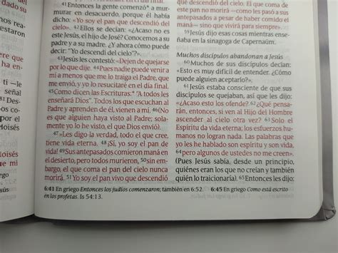 Santa Biblia Ntv Edici N Compacta Letra Grande Vinilo Cruz Ntv