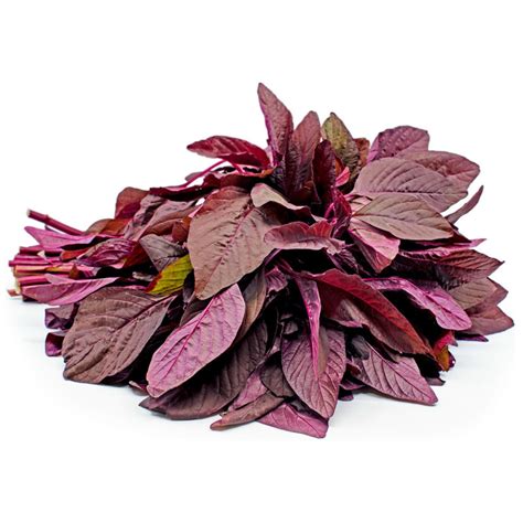 Amaranth Red Garnet Seeds Amaranthus Tricolor Cena