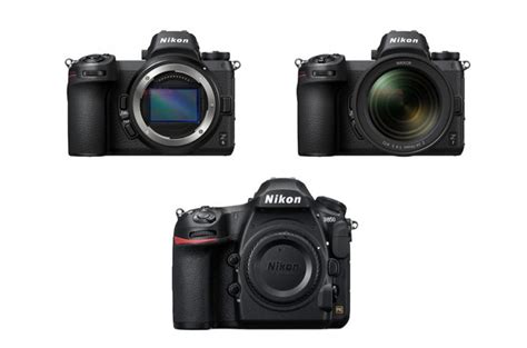 Nikon Z6 vs Nikon Z7 vs Nikon D850 Specifications Comparison - Daily Camera News