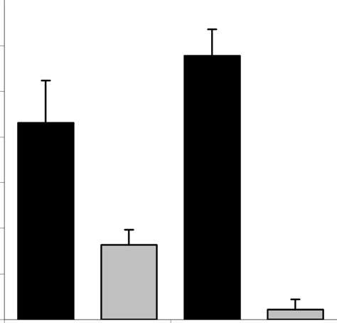 Growth Of Phytophthora Cinnamomi From Original Inoculated Lupins