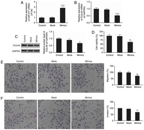 miR‑377 targets CUL4A and regulates metastatic capability in ovarian cancer