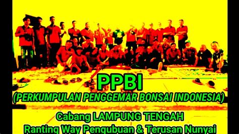 Perkumpulan Penggemar Bonsai Indonesia PPBI Cabang LAMPUNG TENGAH