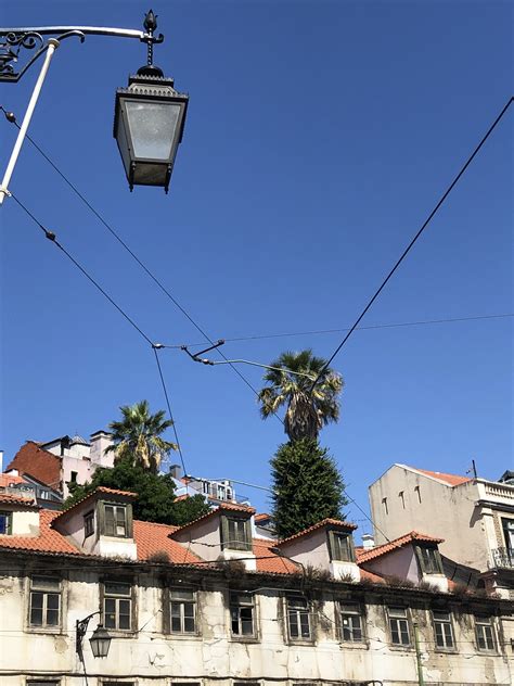 Feasting in Lisbon’s Bairro Alto and Chiado Districts – Oh Please Just Go