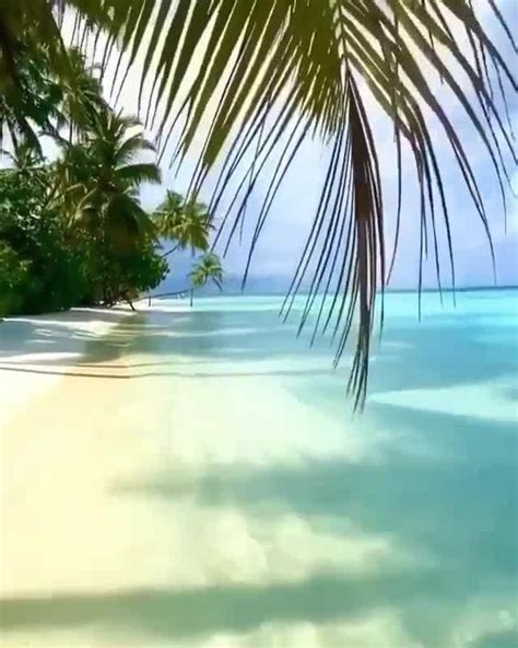 Maldives travel beach – Artofit