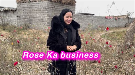 Rose Ka Business Ghar M Khana Kon Bnata Hy Sitara Yaseen Vlog Youtube