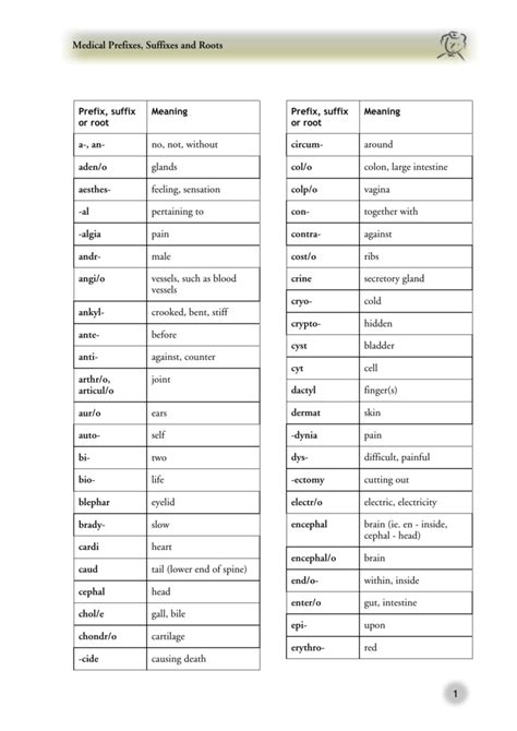 Medical Prefixes Suffixes And Roots A An