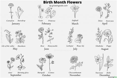 The Birth Month Flowers Are Shown In Black And White With Each Flower