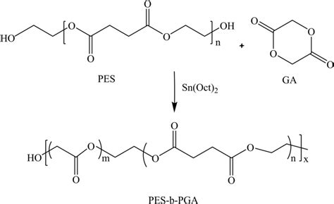 Synthesis Route Of Poly Ethylene Succinatecoglycolide Pesbpga