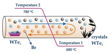 Fig Schematics Of Wte Single Crystals Growth Process By Cvt Method