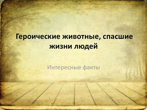 Героические животные, спасшие жизни людей - презентация онлайн