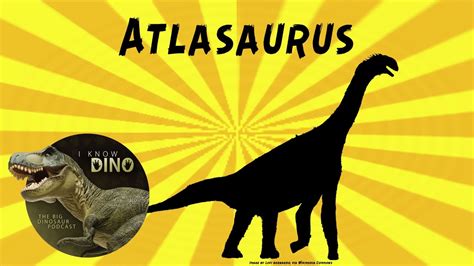 Atlasaurus: Dinosaur of the Day - YouTube