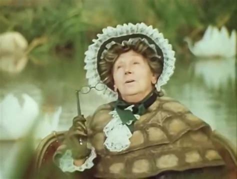 Черепаха Тортилла - 60 фото